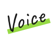 voice